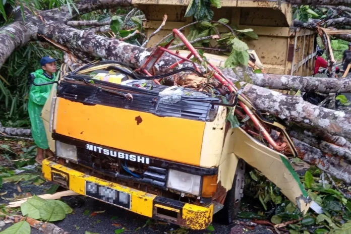 Dump Truck Tertimpa Pohon di Monterado, Sopir Alami Luka Serius