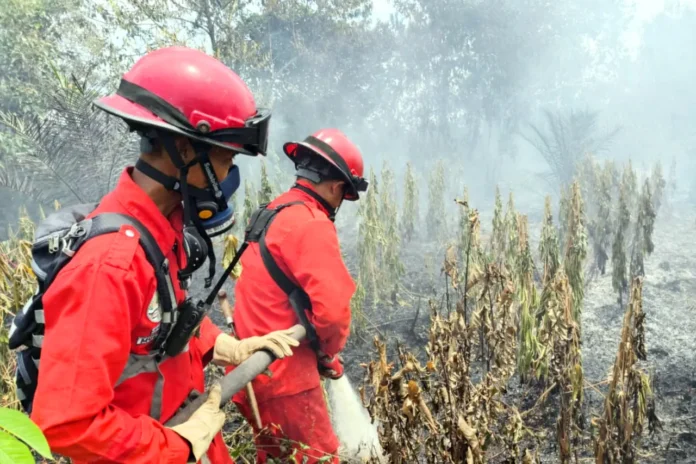 2 Hektare Lahan Gambut di Selakau Timur Terbakar