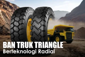 Dukung Sektor Logistik Nasional, Bina Pertiwi Pasok Ban Truk Triangle Berteknologi Radial