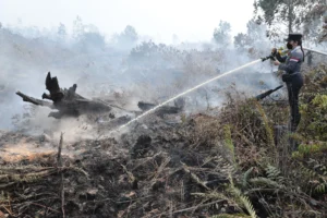 Tjhai Chui Mie Berjibaku dengan Karhutla Siang dan Malam di Tengah Hutan
