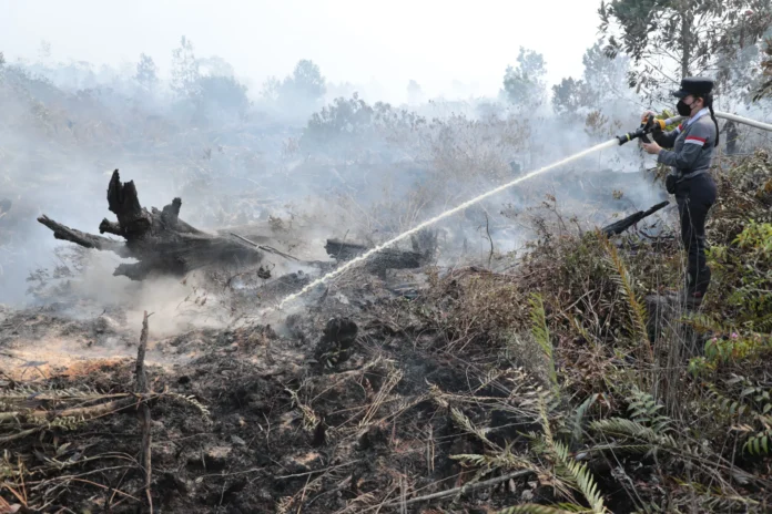 Tjhai Chui Mie Berjibaku dengan Karhutla Siang dan Malam di Tengah Hutan